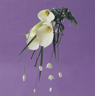 interflora_favnbukett_calla